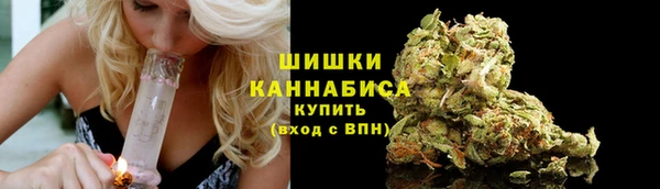 стаф Володарск