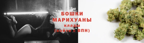 стаф Володарск