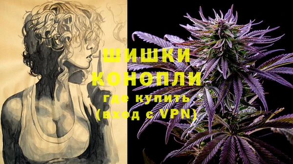стаф Володарск