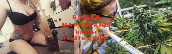 стаф Володарск