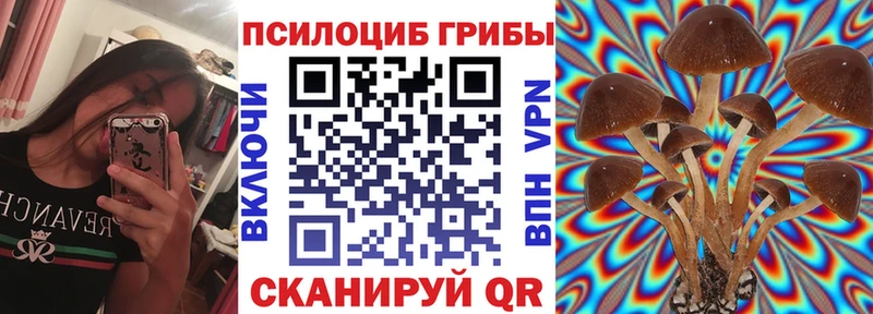 mega   Дивногорск  Галлюциногенные грибы ЛСД 
